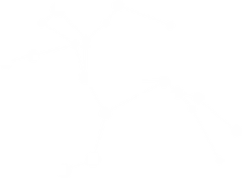 Centaurus (Social Commentary).png